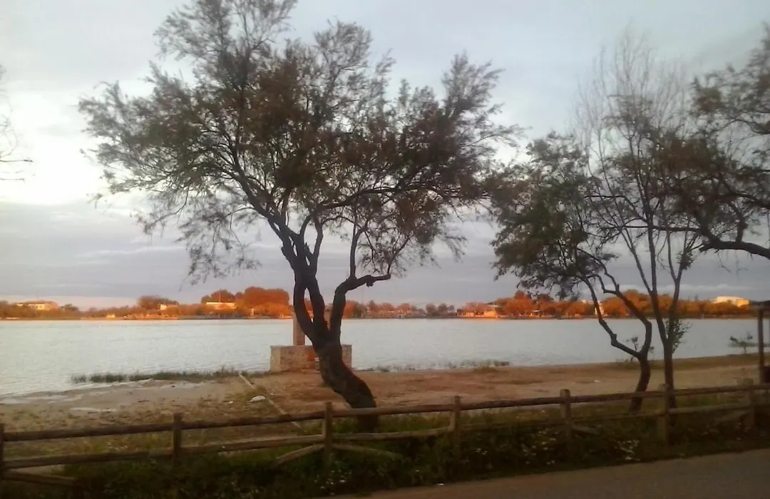 Las Banderas-1